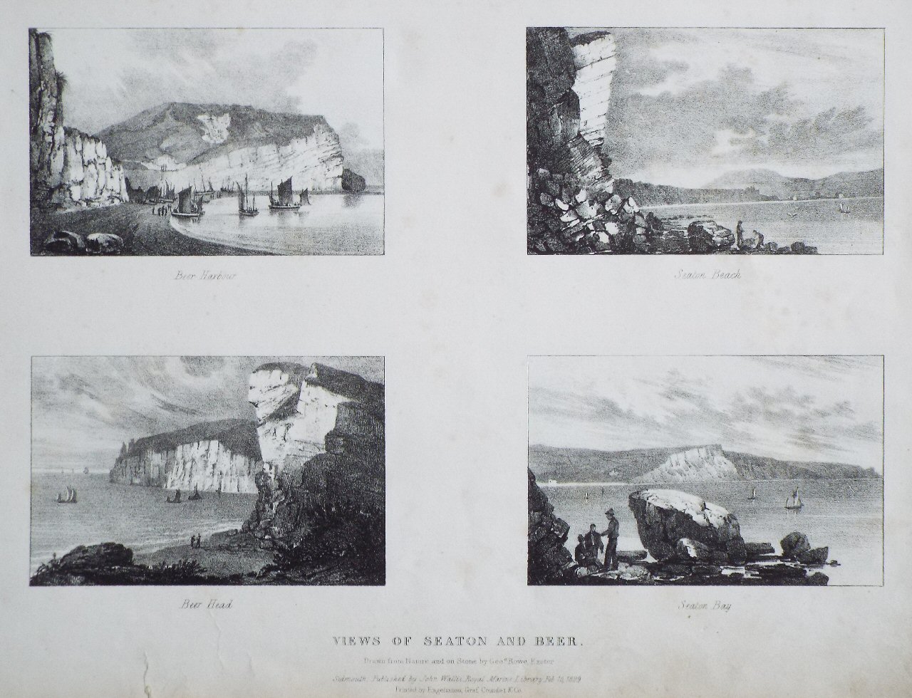 Lithograph - Views of Seaton and Beer. Beer Harbour, Seaton Beach, Beer Head, Seaton Bay. - Rowe